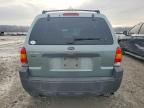 2005 Ford Escape xlt