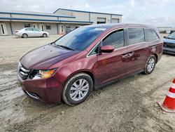 Honda Odyssey exl Vehiculos salvage en venta: 2016 Honda Odyssey exl