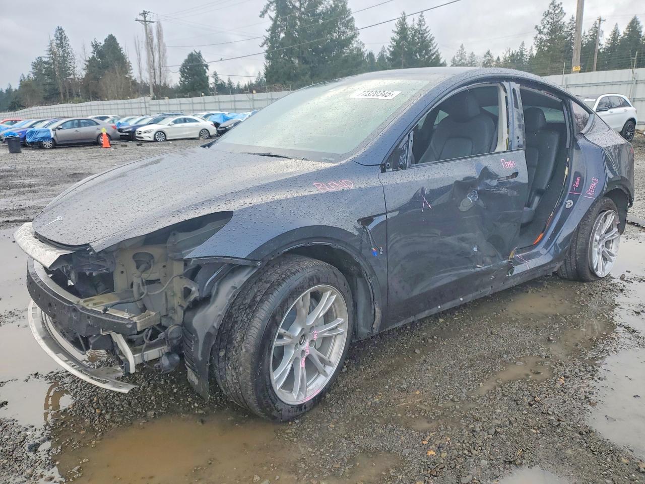 2024 Tesla Model y