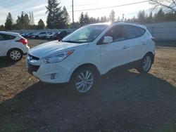 Hyundai Tucson Vehiculos salvage en venta: 2013 Hyundai Tucson Limited