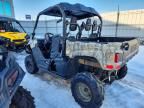 2014 Yamaha YXM700 E-Dune Buggy