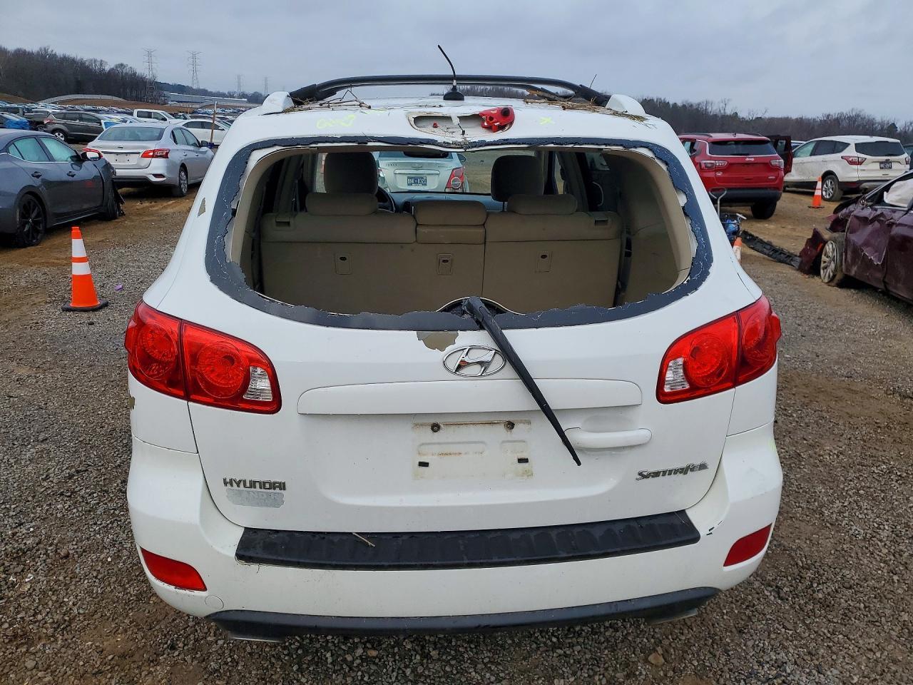 2009 Hyundai Santa fe se