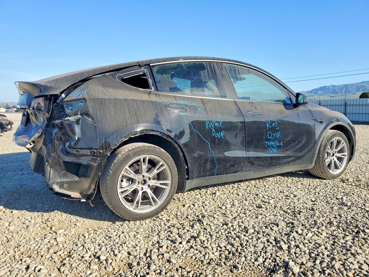 2024 Tesla Model y
