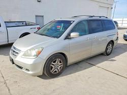 Honda salvage cars for sale: 2005 Honda Odyssey exl