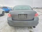 2009 Honda Accord lxp