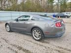 2010 Ford Mustang