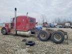 2004 Ptrb 2004 Pntw 379-Semi Truck