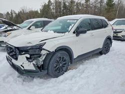 2024 Honda Cr-v exl for sale in Cookstown, ON