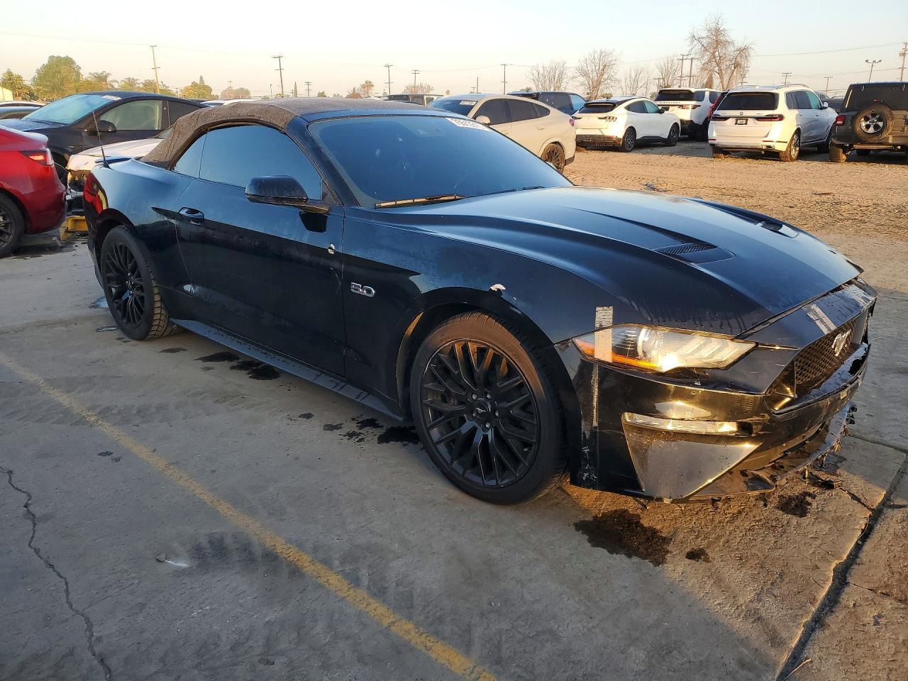 2019 Ford Mustang gt