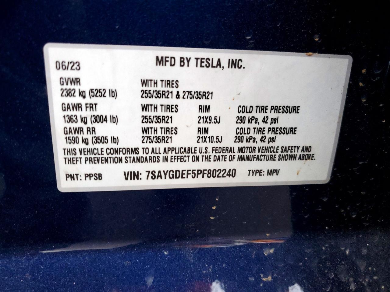 2023 Tesla Model y