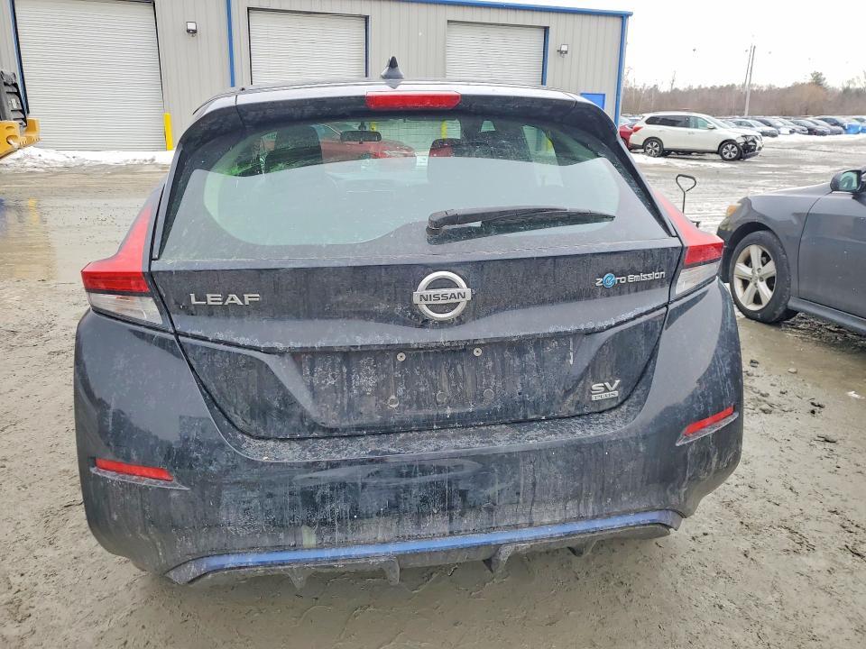 2019 Niss Leaf