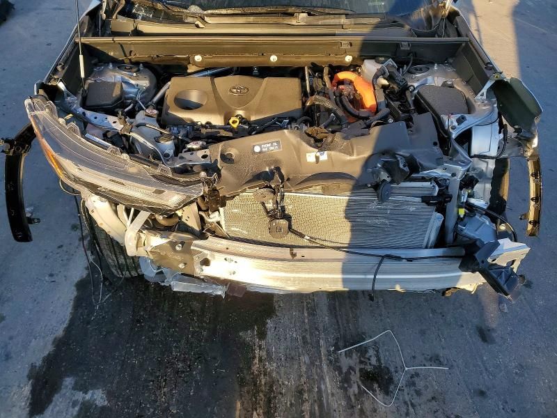 2024 Toyota Rav4 xse