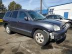 2005 Hyundai Santa fe gls