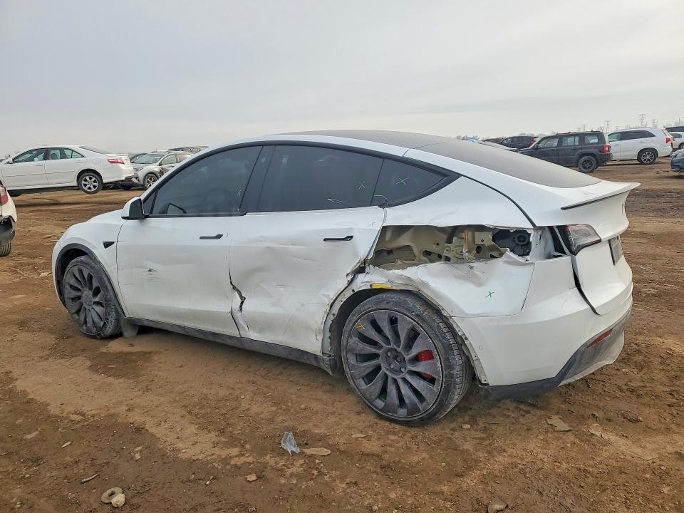 2022 Tesla Model y