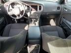 2023 Dodge 2023 Dodg Charger sxt