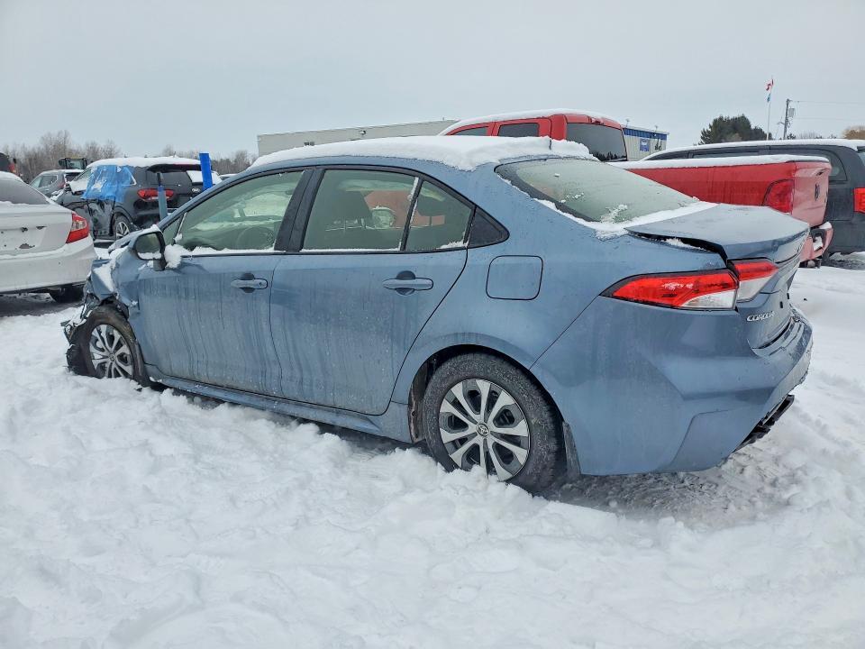2023 Toyota Corolla le