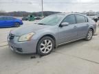 2007 Nissan Maxima se