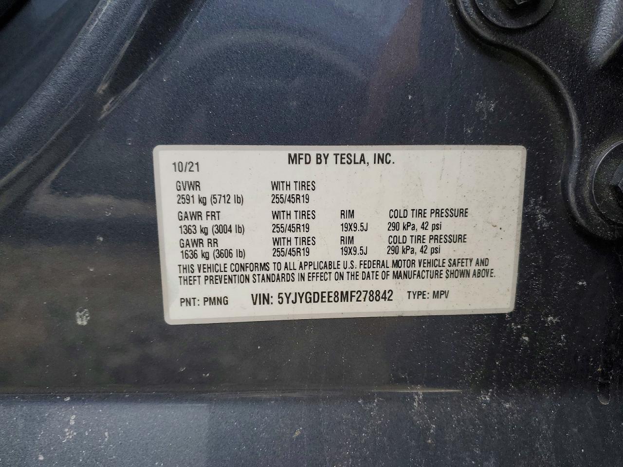 2021 Tesla Model y
