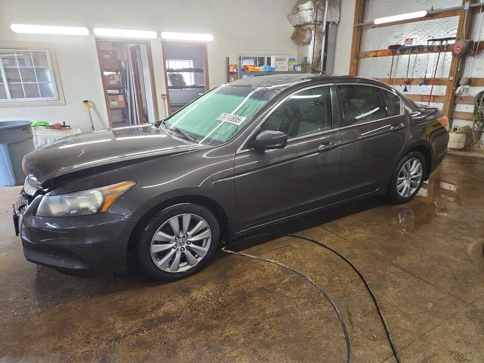 2011 Honda Accord exl