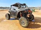 2024 Polaris RZR XP 1000 Premium