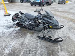 Skidoo Vehiculos salvage en venta: 2024 Skidoo Renegade Adrenaline