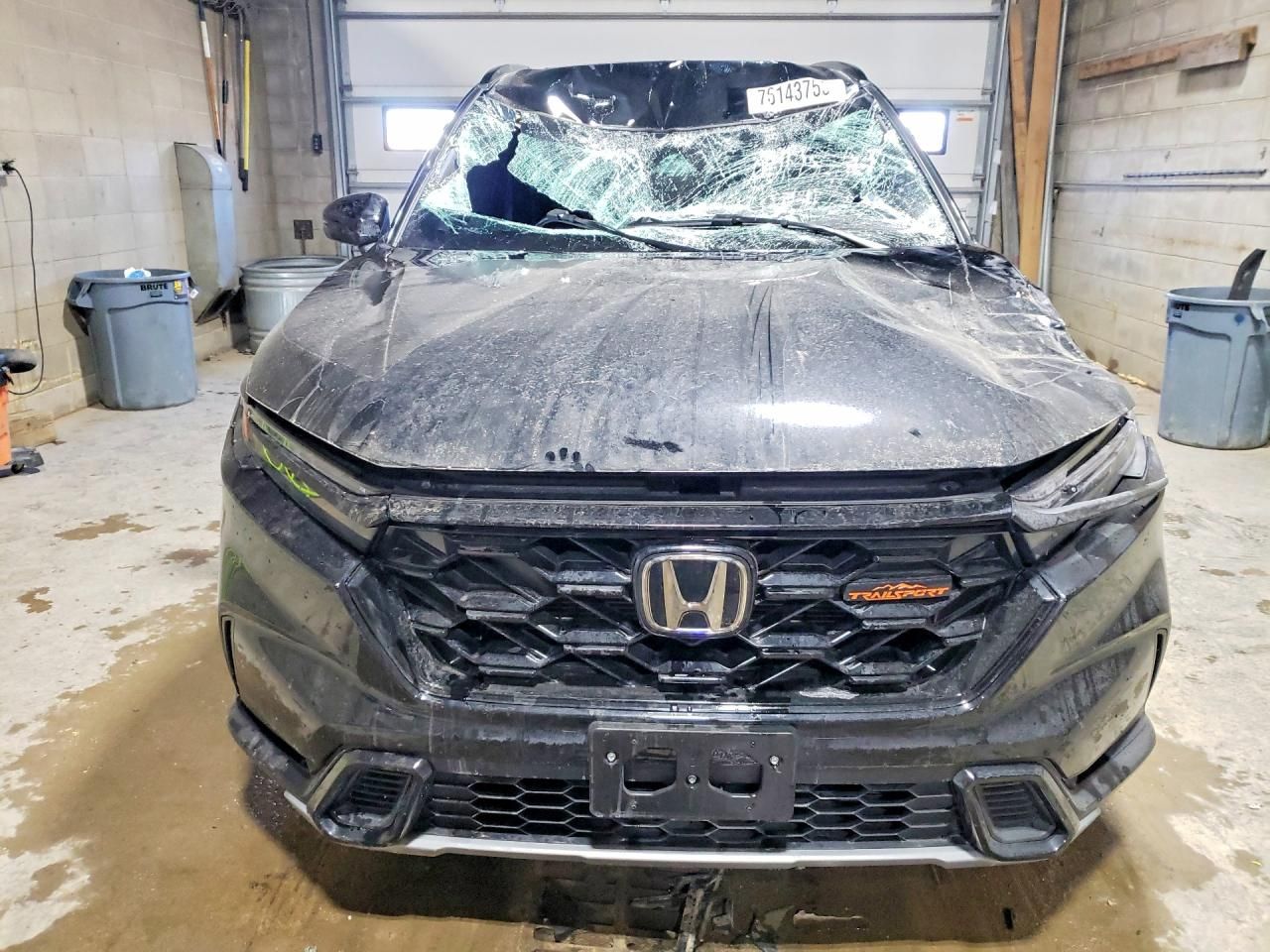 2026 Honda Cr-v Trailsport