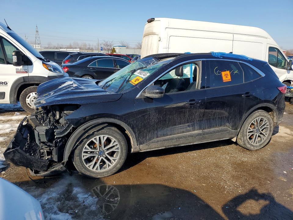 2020 Ford Escape sel