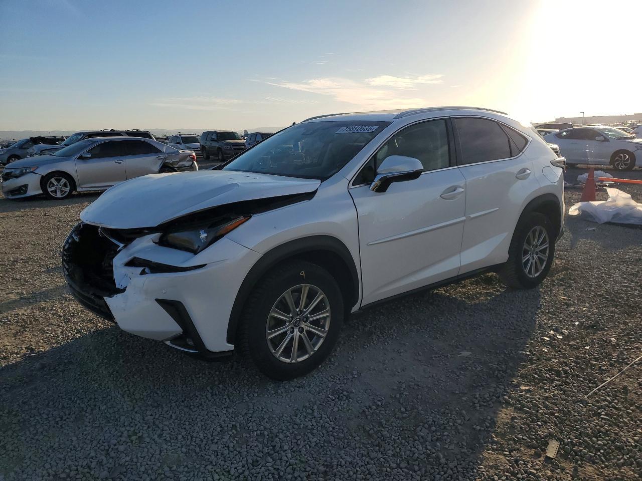 2019 Lexus Nx 300h
