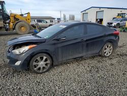 Hyundai salvage cars for sale: 2013 Hyundai Elantra gls