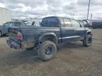 2001 Dodge Dakota Quattro