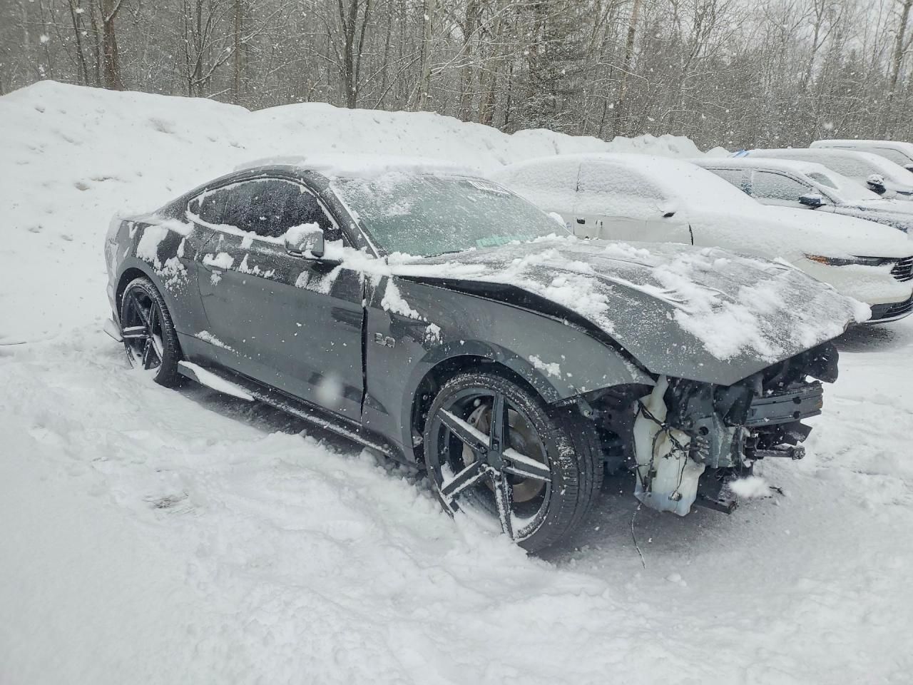 2019 Ford Mustang gt