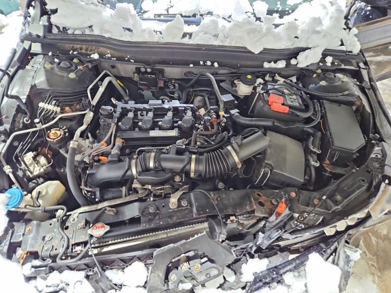 2019 Honda Accord exl