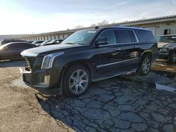 Cadillac Vehiculos salvage en venta: 2015 Cadillac Escalade esv Luxury