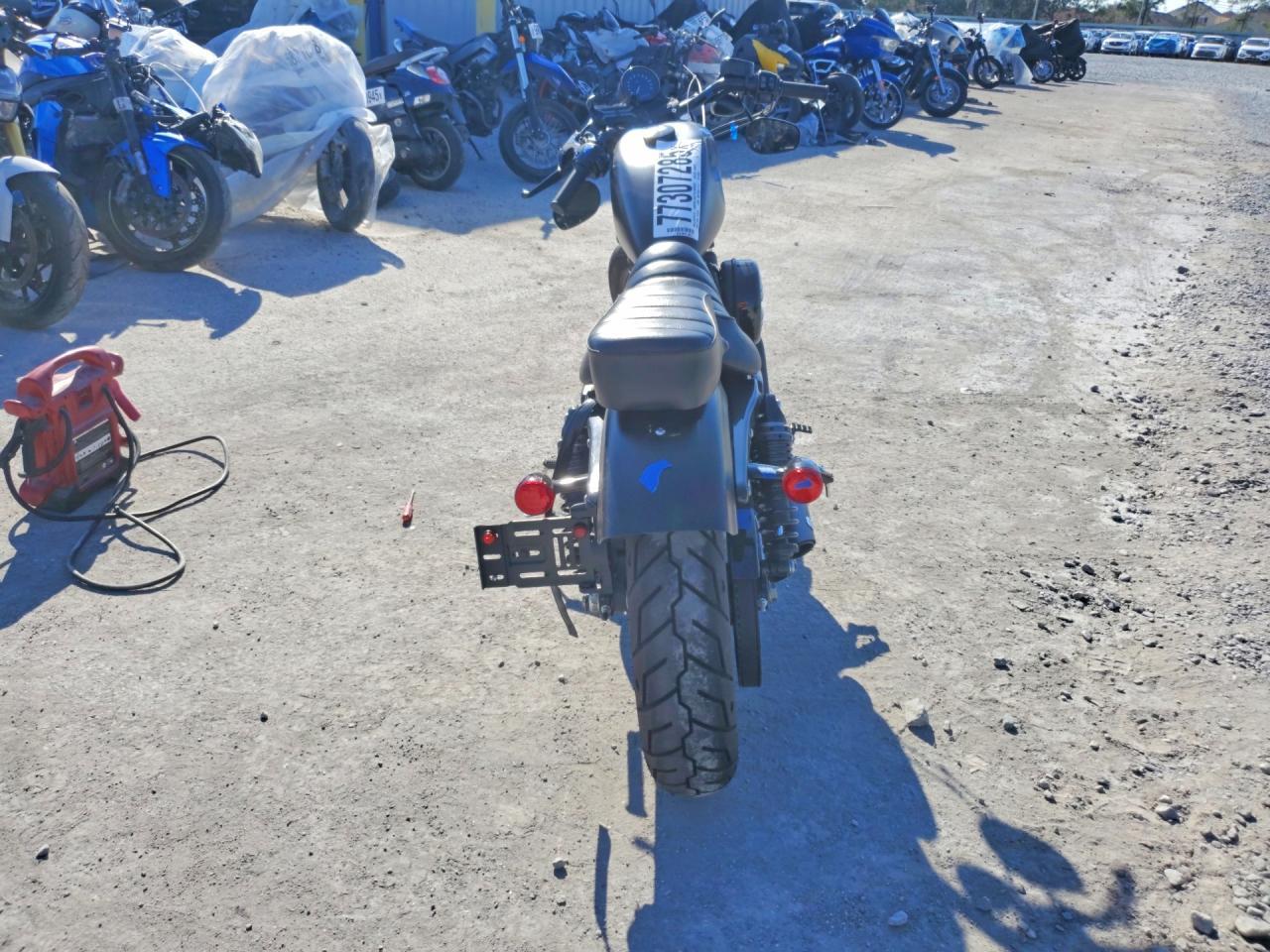 2021 Harley-Davidson XL883 N