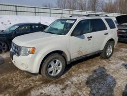 2010 Ford Escape xlt for sale in Davison, MI