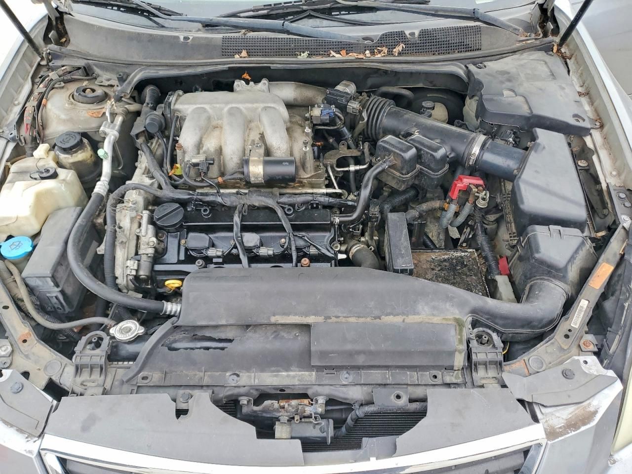 2007 Nissan Maxima se