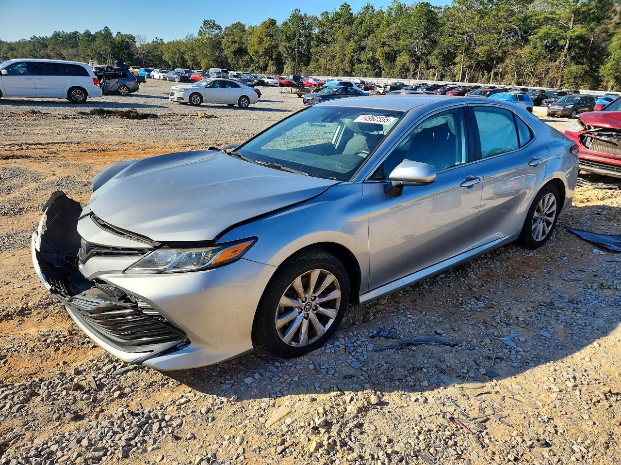 2019 Toyota Camry l