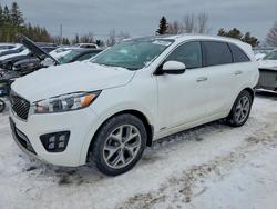 KIA salvage cars for sale: 2016 KIA Sorento