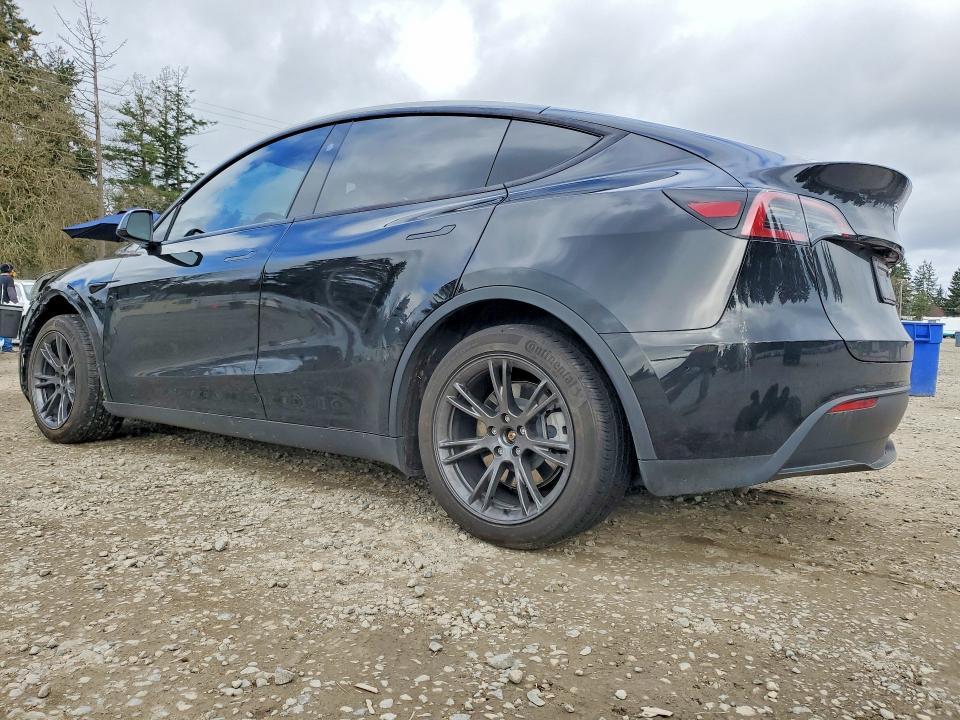 2025 Tesla Model y
