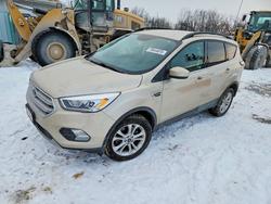 Ford Vehiculos salvage en venta: 2018 Ford Escape sel