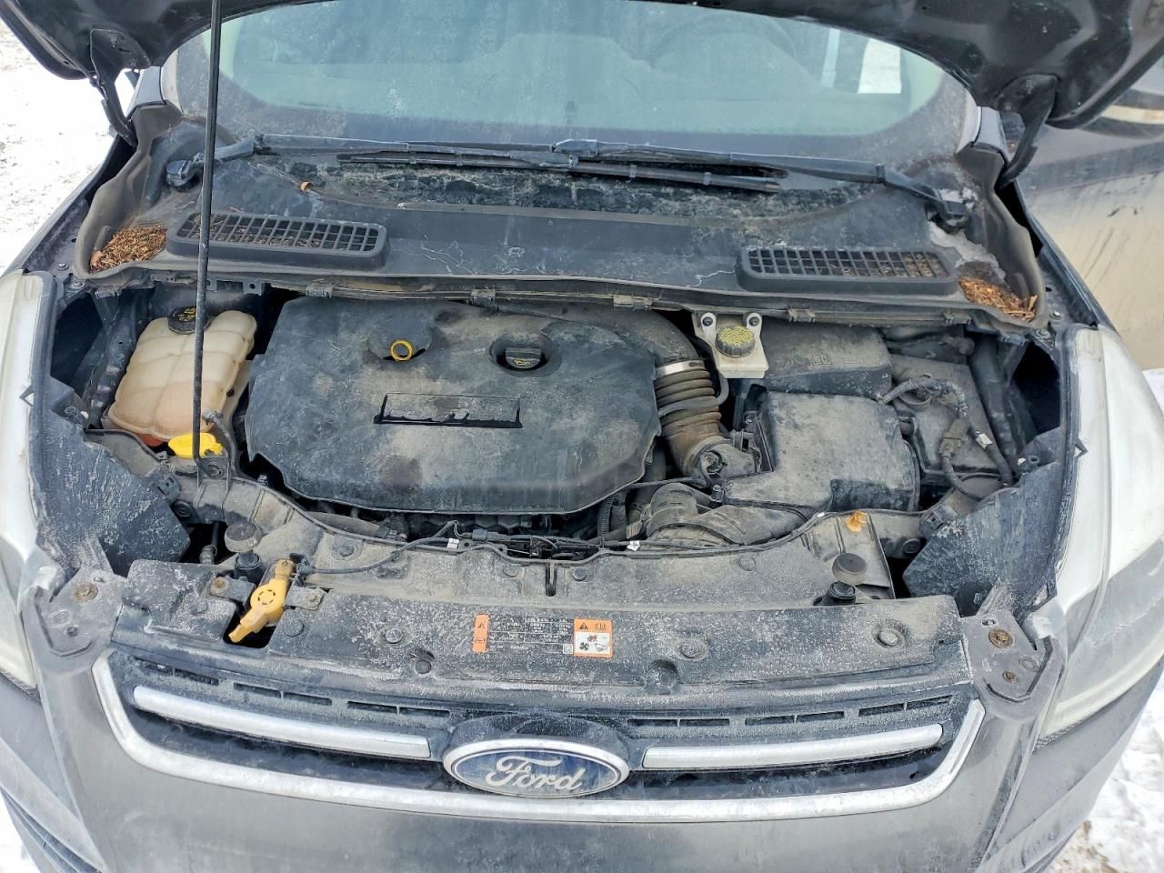 2015 Ford Escape Titanium