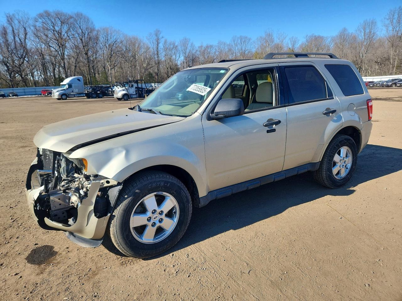 2011 Ford Escape xlt