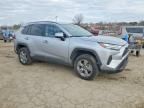 2025 Toyota Rav4 Hybrid awd 4D suv xle