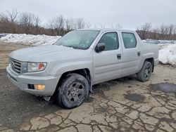 Honda Ridgeline salvage cars for sale: 2013 Honda Ridgeline rt