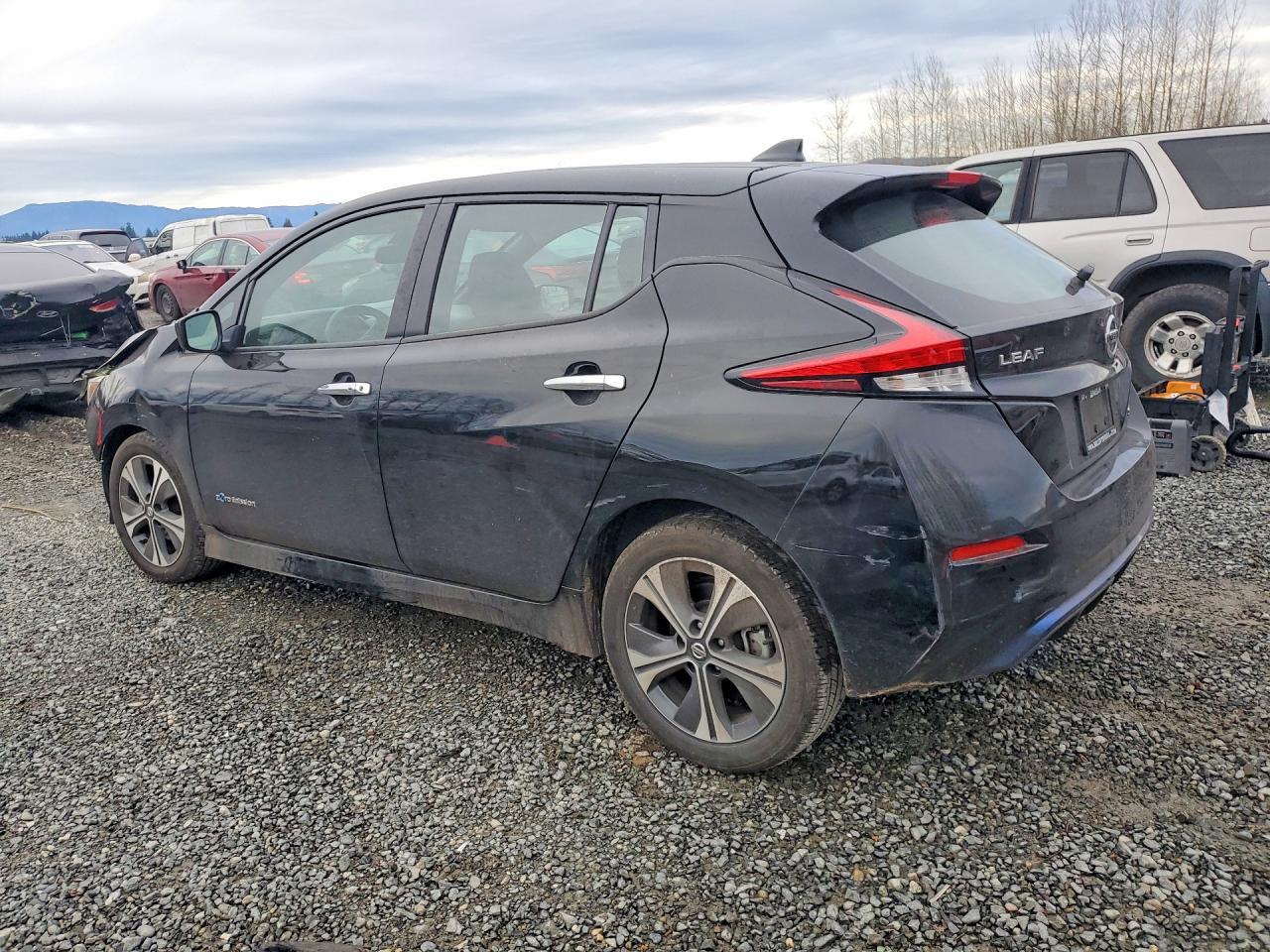2019 Niss Leaf sv