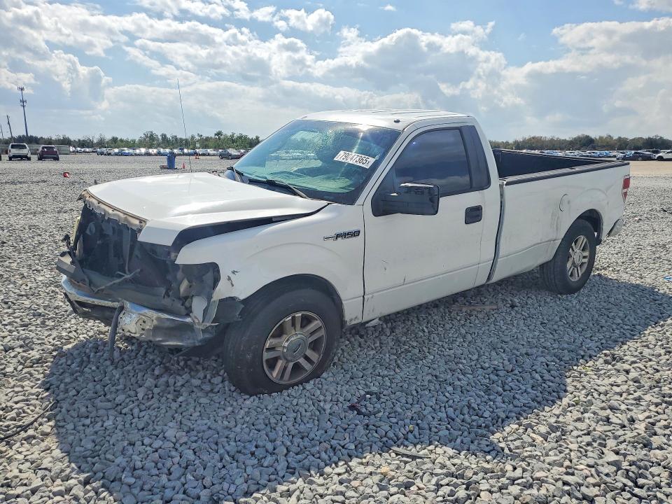 2010 Ford F150