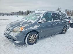 Honda salvage cars for sale: 2010 Honda Odyssey exl