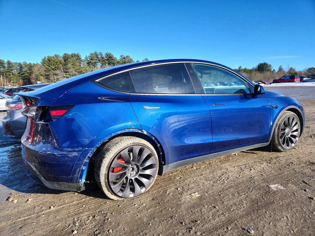 2023 Tesla Model y