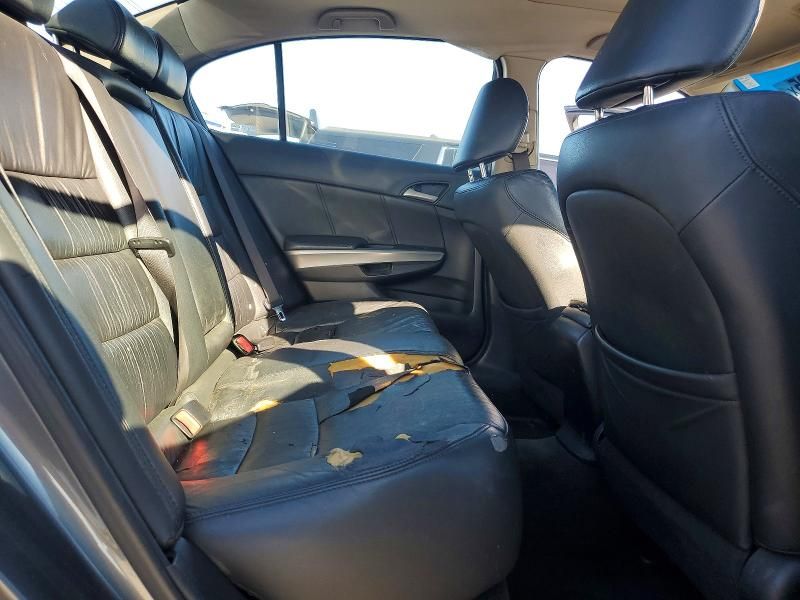 2008 Honda Accord exl