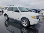 2008 Ford Escape hev